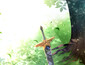 Screenshot #1