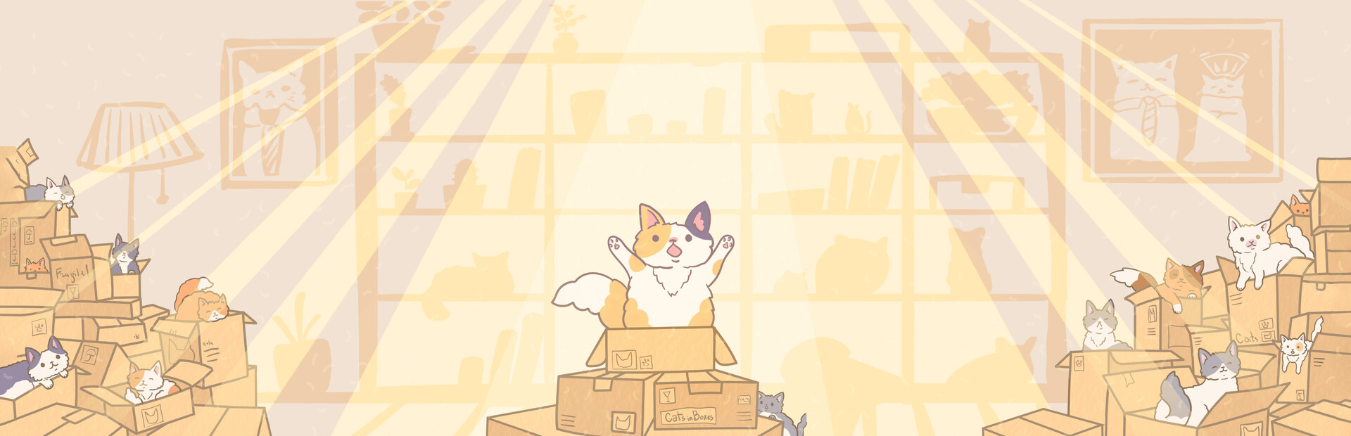 Cats in Boxes