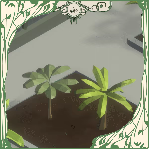 Palm Paradise Garden video 2