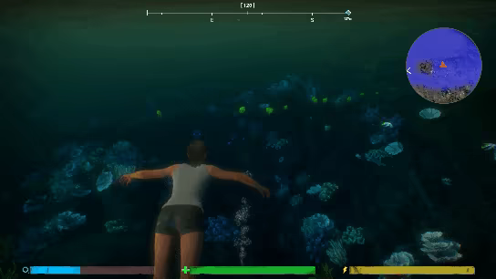 Treasures of the Sunken Ship video 1