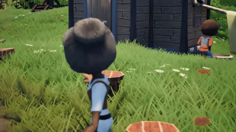 Shoni Island video 3