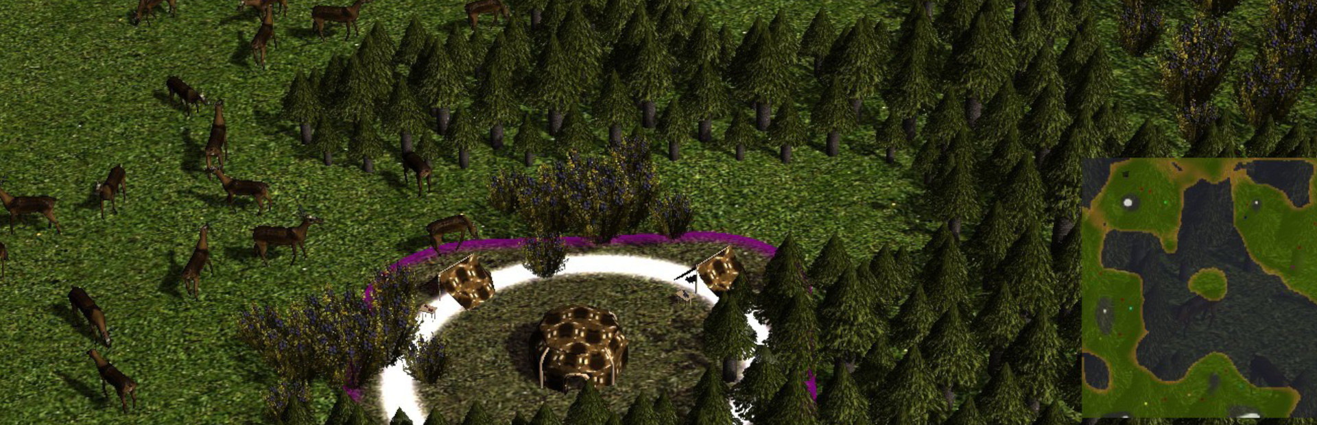 Clans