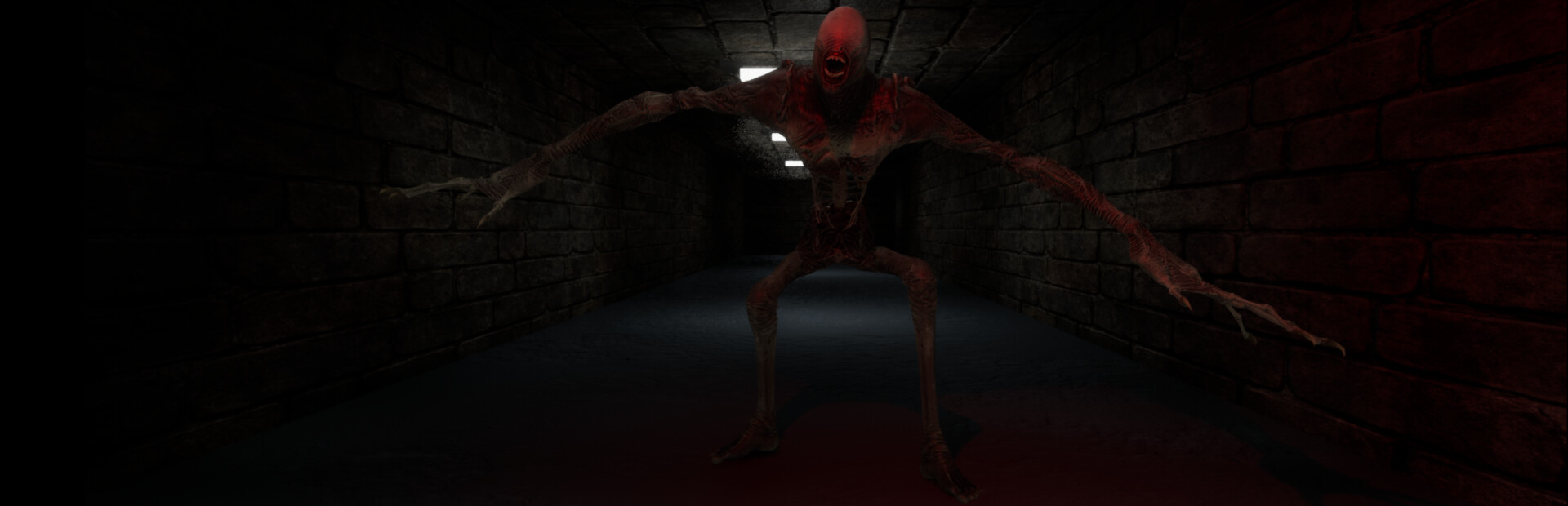 The Corridors