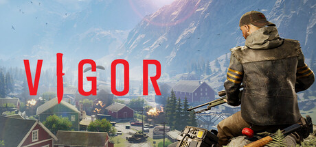 Vigor banner image
