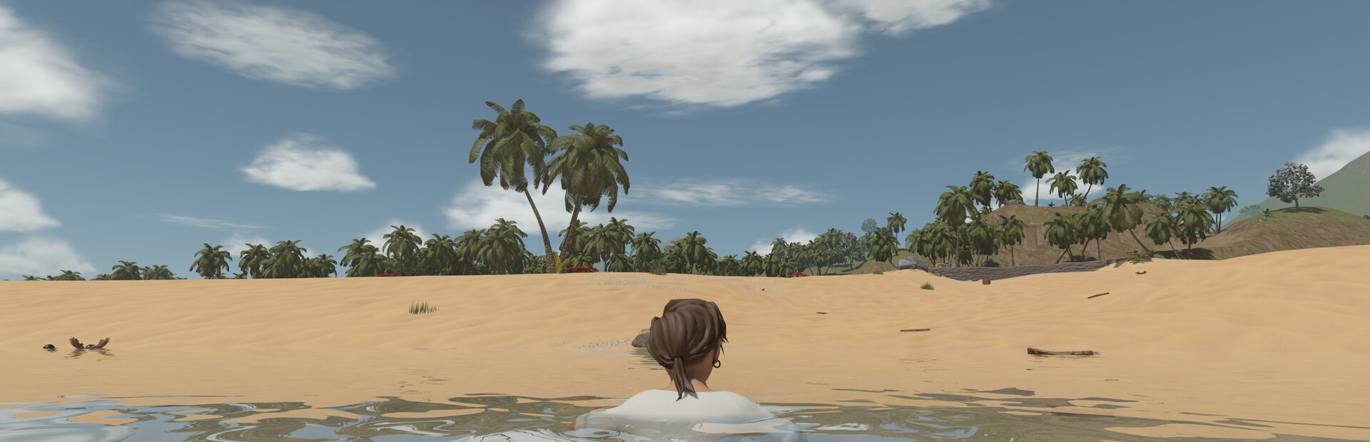 A Short Odyssey
