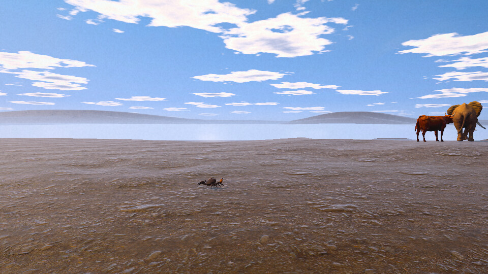 Live Cam Simulator