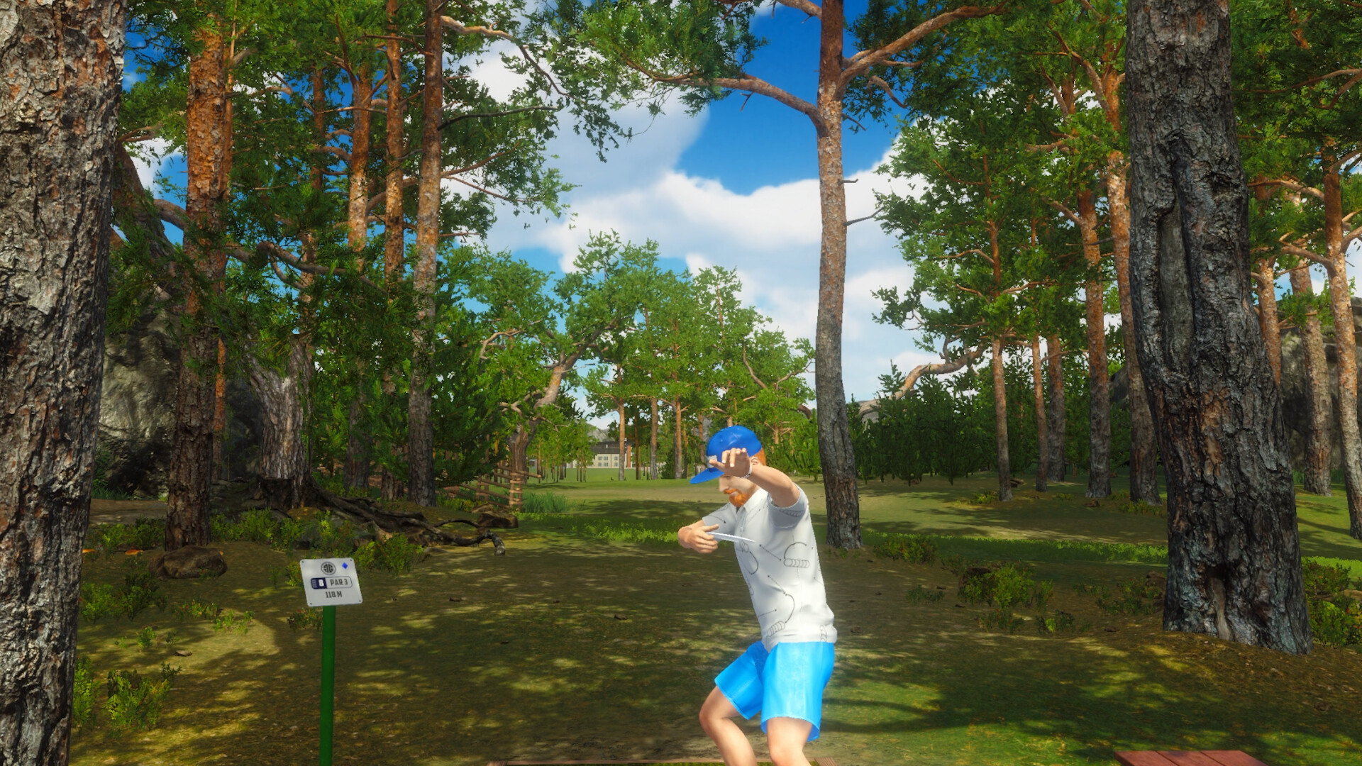 Disc Golf Masters gameplay screenshot 2