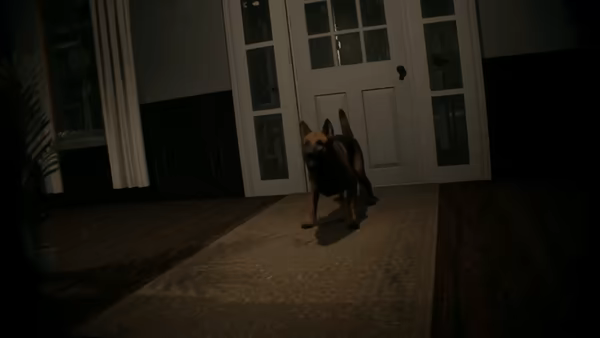 Baisu video 4