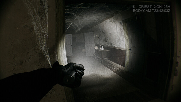 Baisufor windows and Linux 1