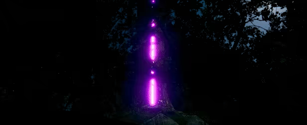 The Silent Forests video 1