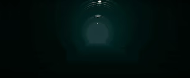 The Silent Forests video 2