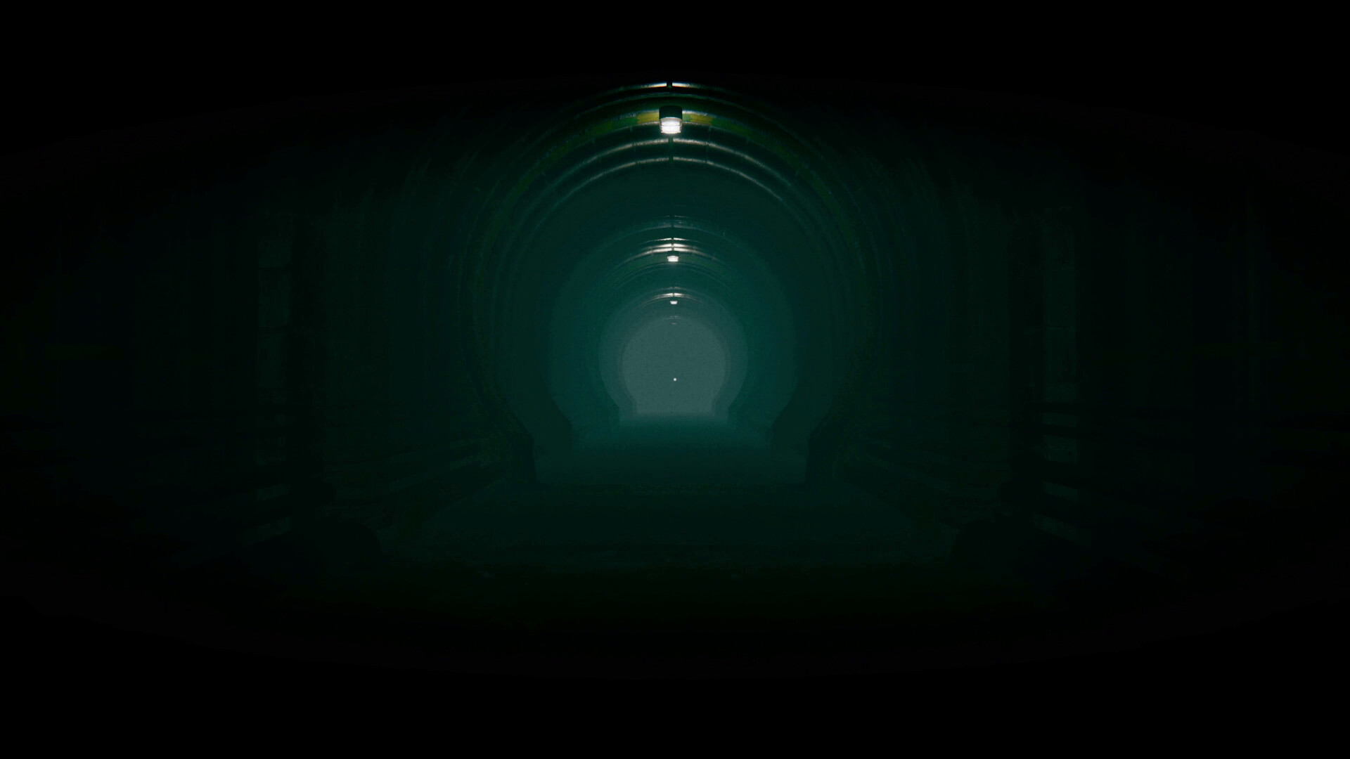 The Silent Forests