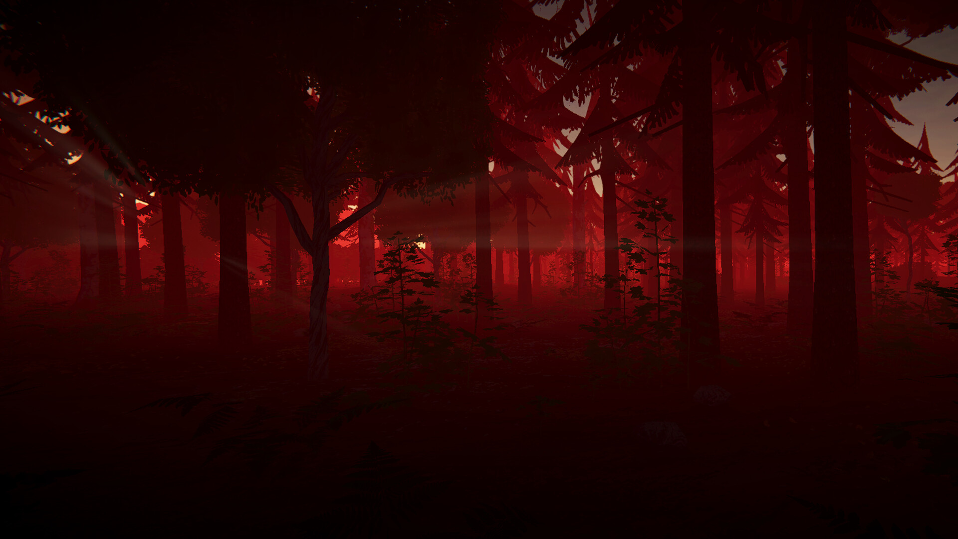 Category 6 screenshot #12