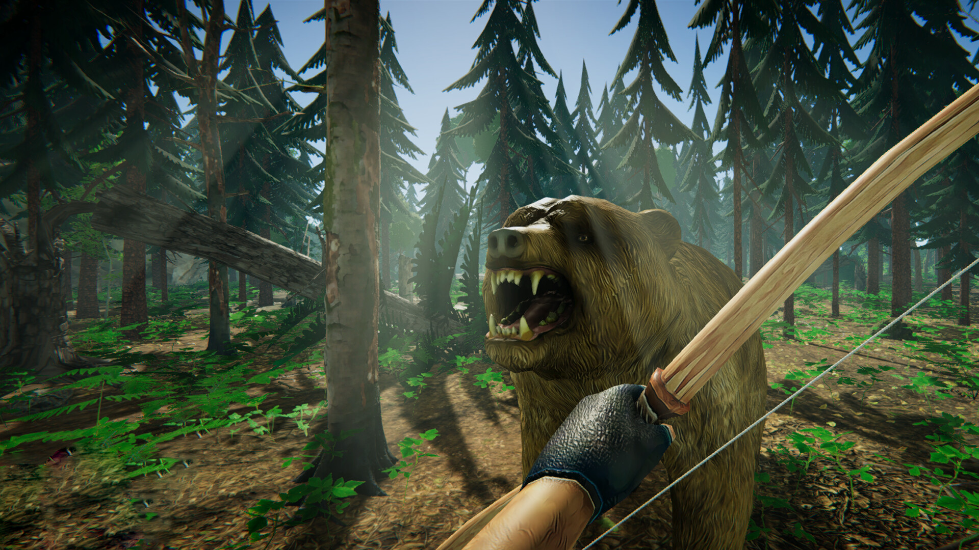 Category 6 screenshot