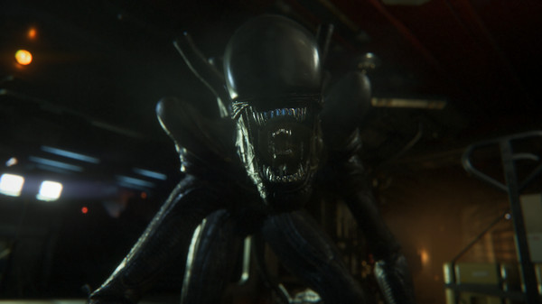 Alien: Isolation - Crew Expendable