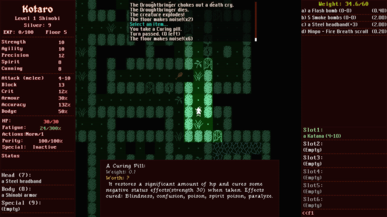 Shadowed: The Demon Castle of Ooe screenshot