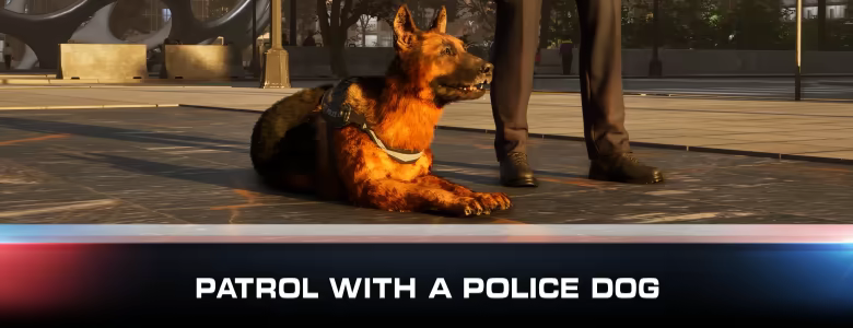 Police Simulator video 4