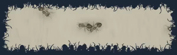 Ant Keeping Simulator video 2