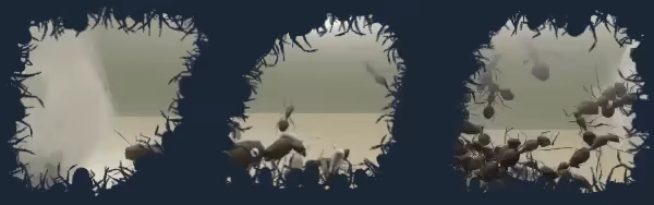 Ant Keeping Simulator video 3