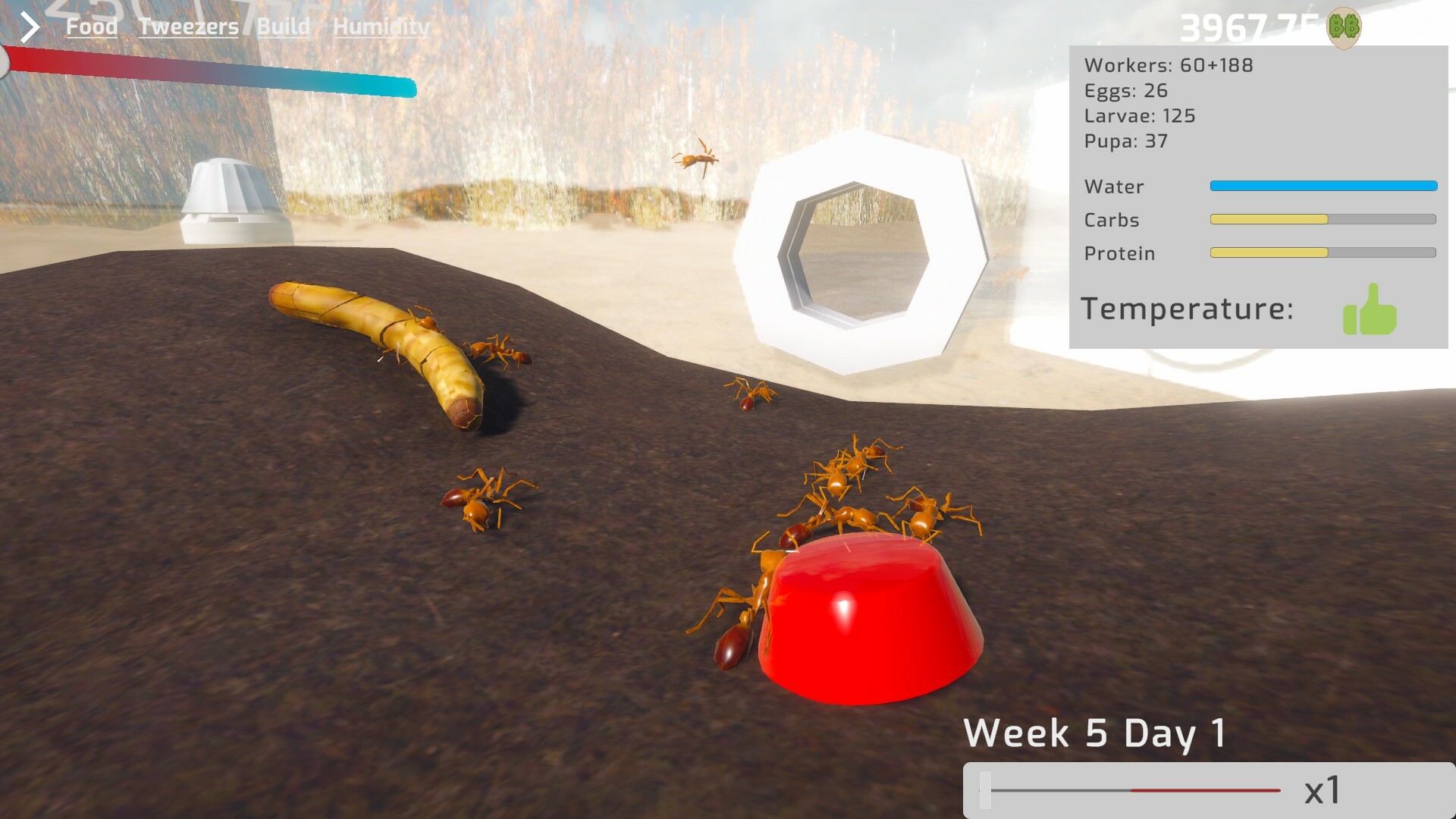 Ant Keeping Simulator screenshot #2