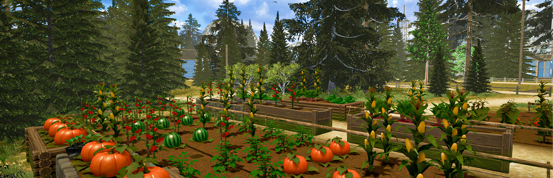 Countryside Life Simulator