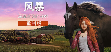 风暴:深厚友谊的开始 重制版 封面