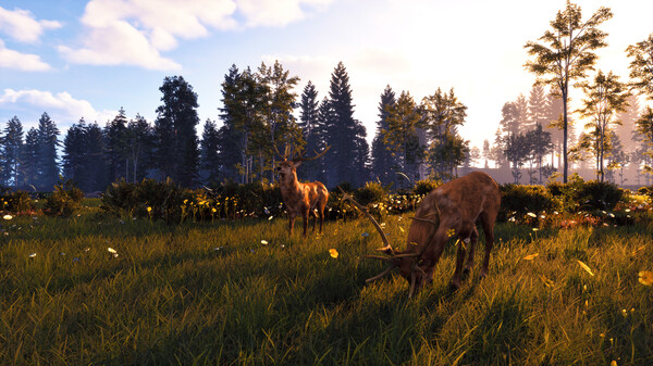 Windstorm: Start of a Great Friendship - Remastered game for windows Pc 1