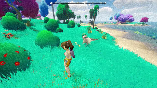 Asyle video 1