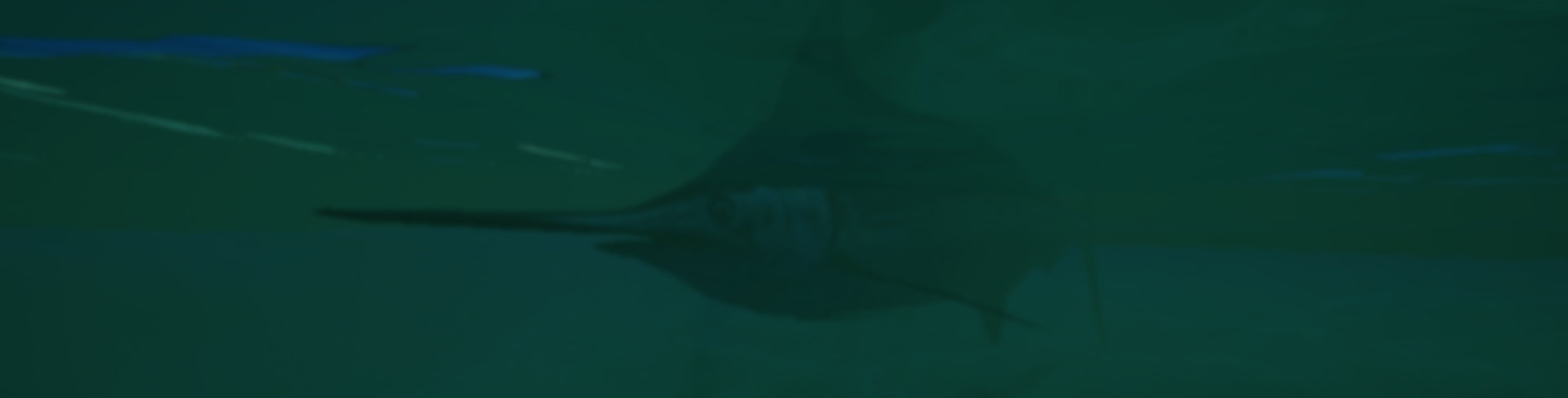 《终极钓鱼模拟器2(Ultimate Fishing Simulator 2 Sandbox Mode)》|v1.25.06.16+Delaware Bay+STEAM联机补丁|中文|免安装硬盘版 《终极钓鱼模拟器2(Ultimate Fishing Simulator 2 Sandbox Mode)》|v1.25.06.16+Delaware Bay+STEAM联机补丁|中文|免安装硬盘版