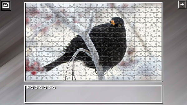 Super Jigsaw Puzzle: Generations - Birds 2