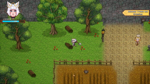 Esteem - The little wolf saga screenshot 4