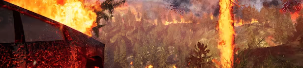 FIRE video 6