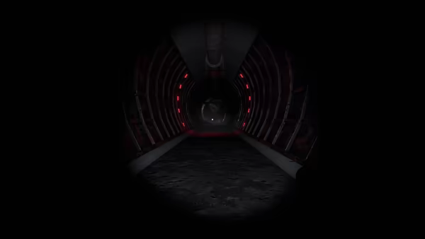 There's something wrong with... video 1