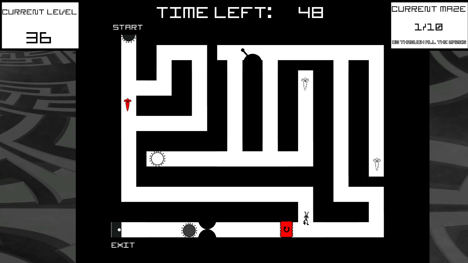 Bunny Mazes screenshot #3