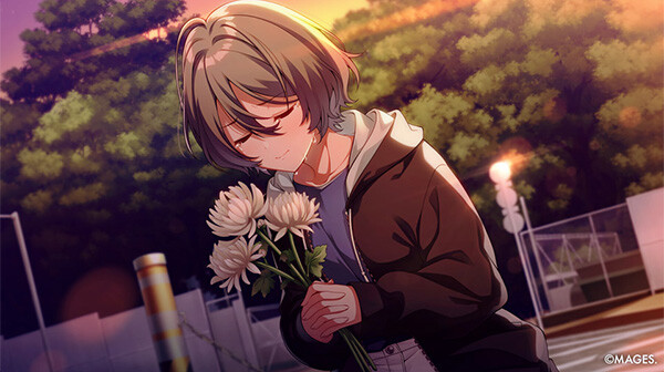 SINce Memories: Off The Starry Sky game artwork