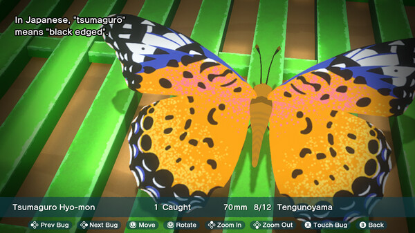 Natsu-Mon: 20th Century Summer Kid