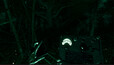 Screenshot #7