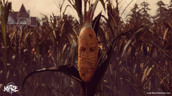 Maize