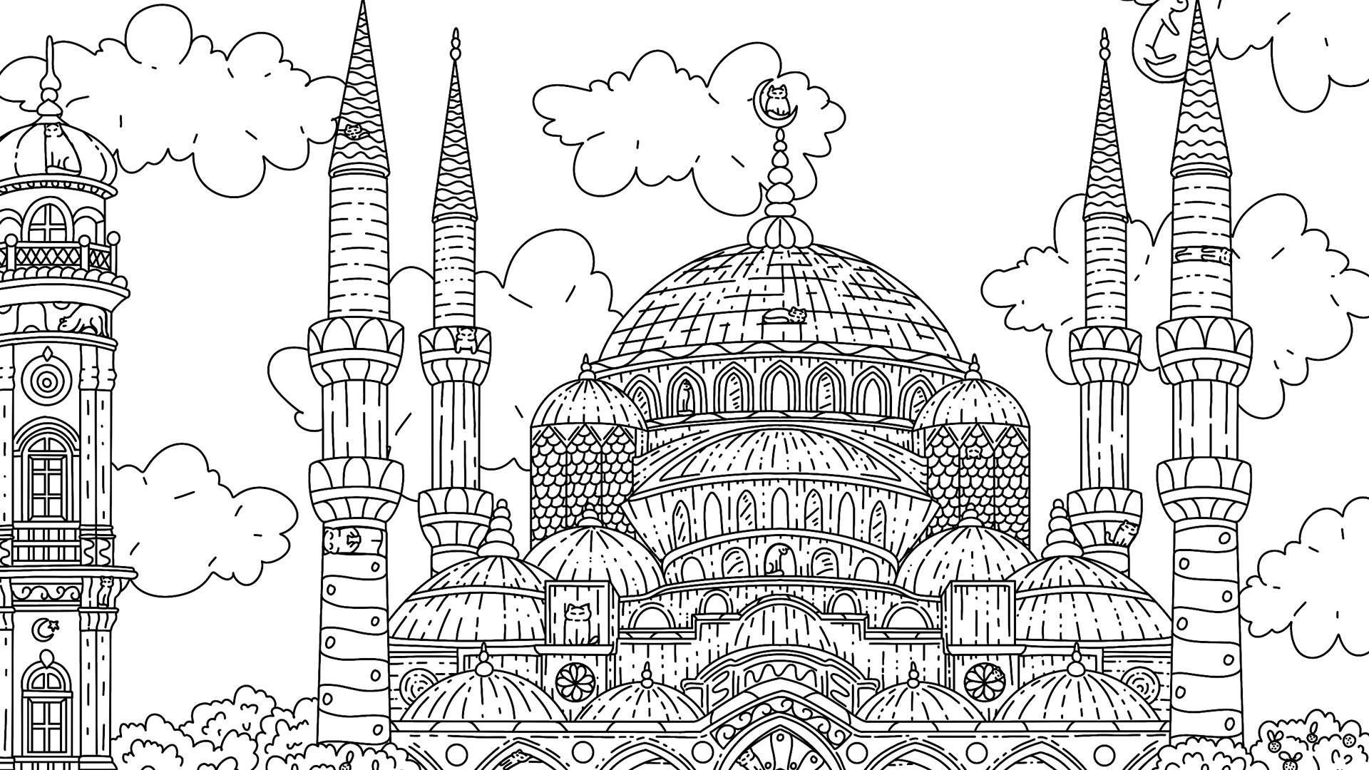screenshot of 100 Istanbul Cats 15