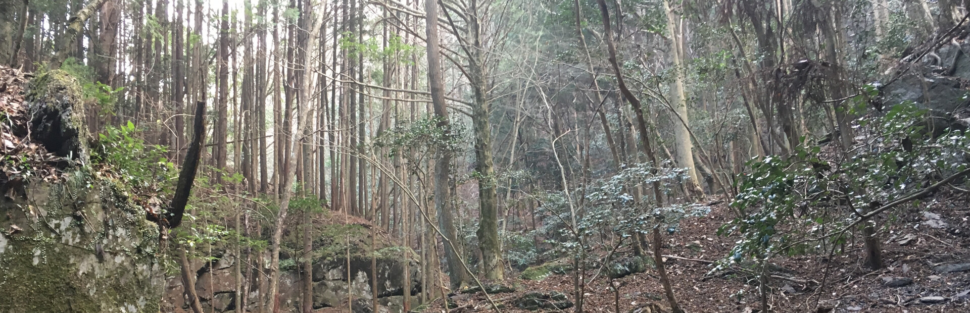 Terunyan to Amanoiwato