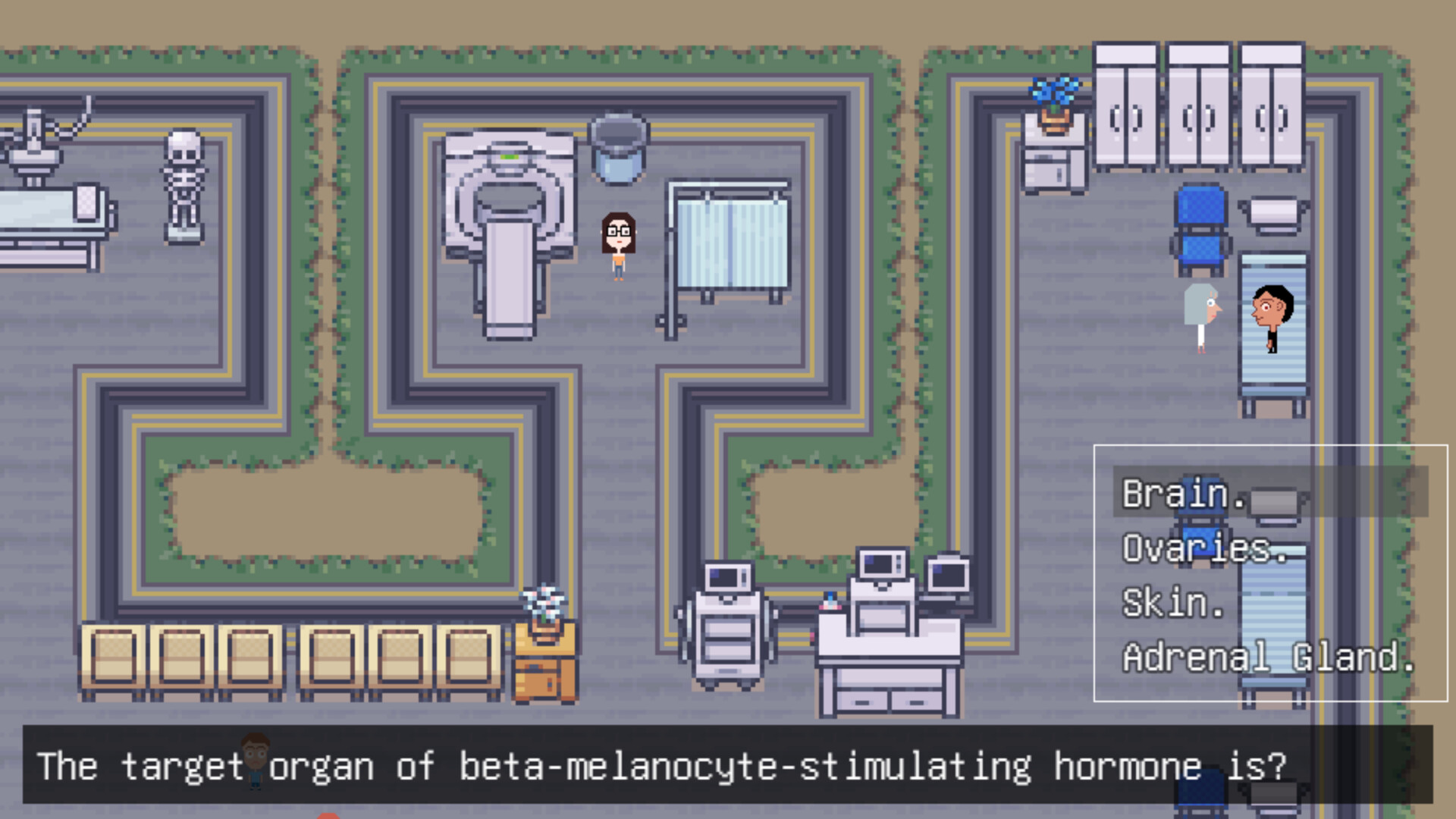The Last Hospital