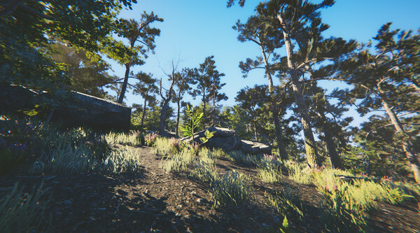 Thumbnail 17