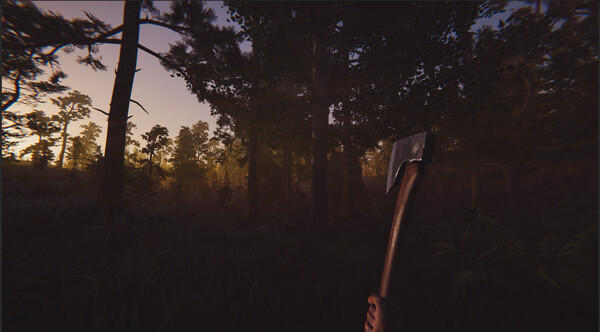 Thumbnail 12