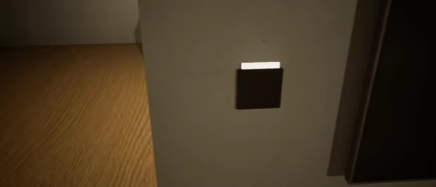 Hidden Facade video 1