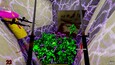 Screenshot #8