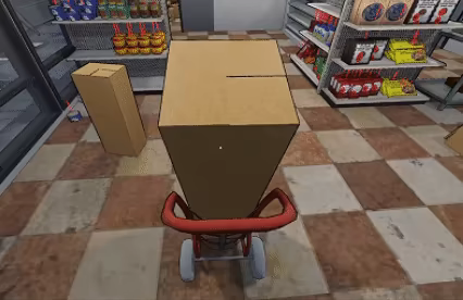 Bodega video 1