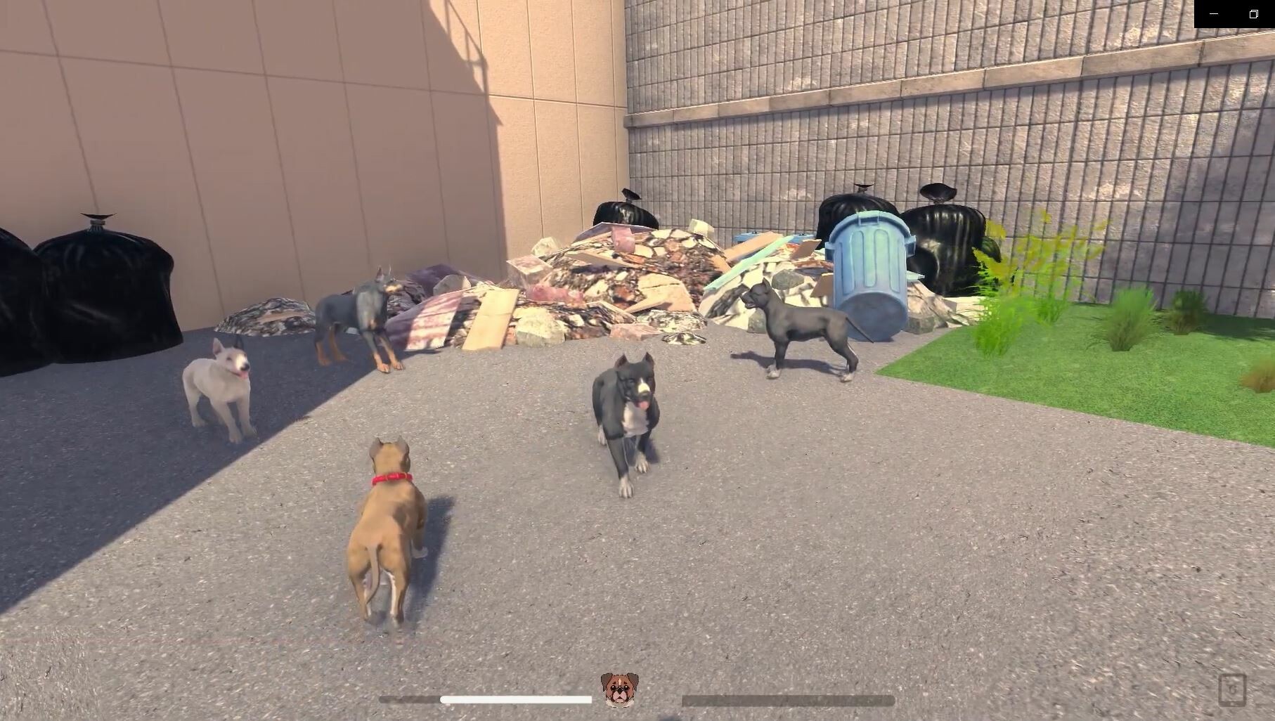 Dog World screenshot #11