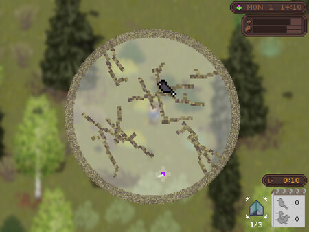 Feather Trail — 13