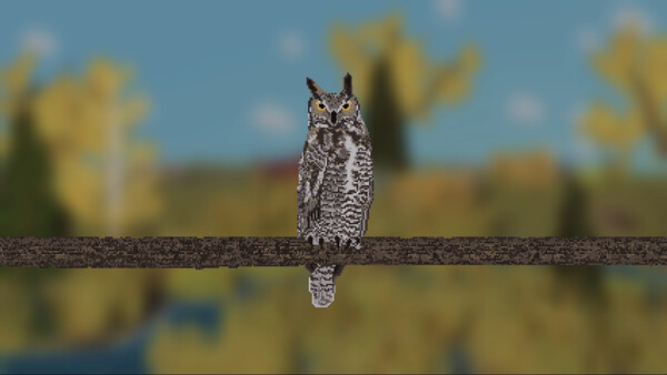 Feather Trail — 1