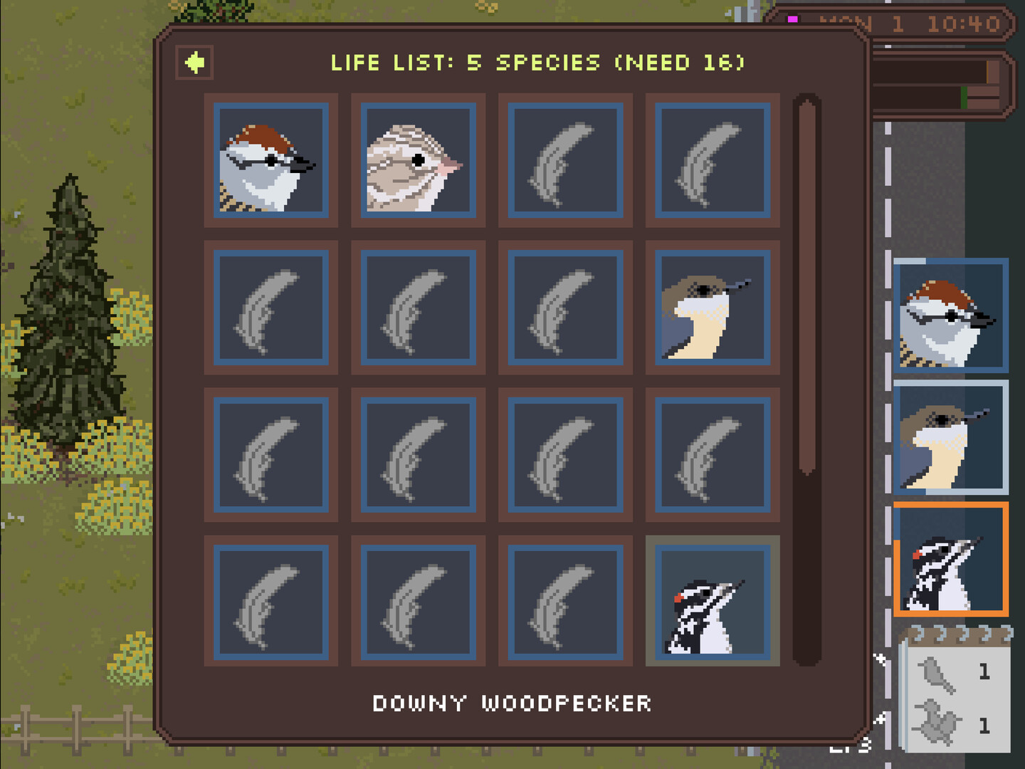 Feather Trail screenshot #9